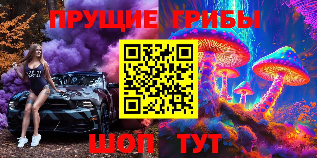 Галлюциногенные грибы Psilocybine cubensis Елабуга